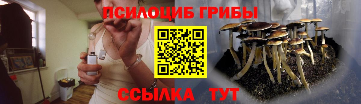 Псилоцибиновые грибы прущие грибы Чернушка